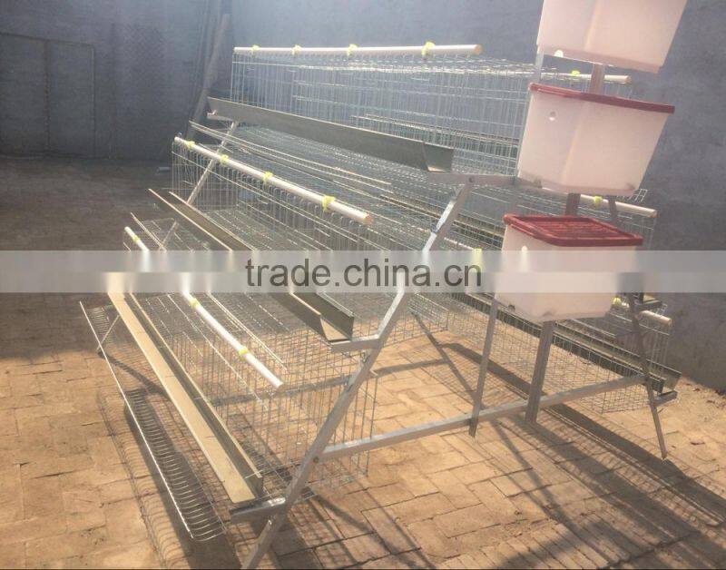 Better Factory A and H type bird chicken layer cage