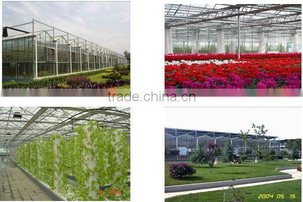 Agriculture Commercial Glass Multi Span Greenhouse