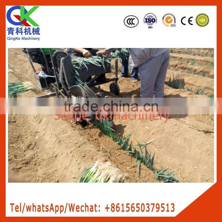single row Green Chinese onion transplanting tools