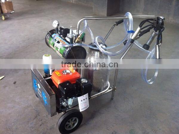 sheep milking machine for sale
