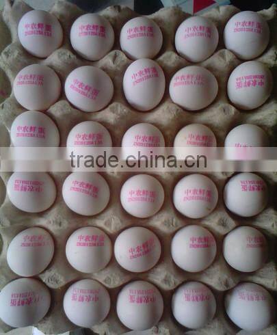 30 holes digital print machine/egg printer/Inkjet Printer