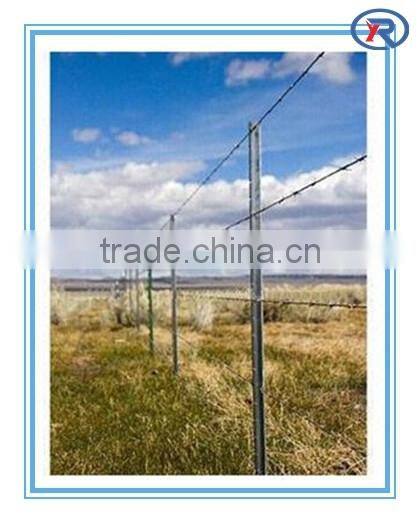 Y shape metal post for Australian and South Africa market/y star fence posts made in china