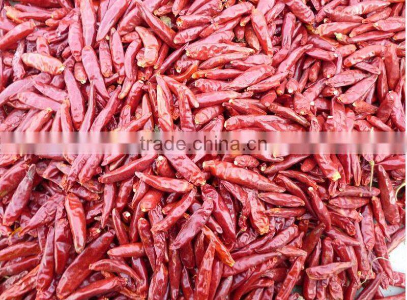 Flavouring Drying Machine