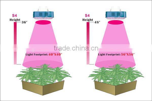 plant tissue culture led grow light kits 240w