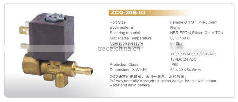 Brass Steam Iron/Steam Cleaner Female 1/8"*6.5mm Brass Solenoid Valve