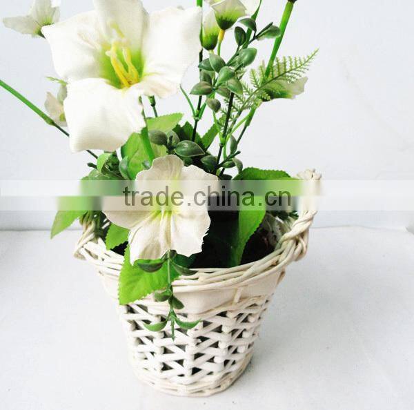 disposable plant pot wicker plant pots wall plant pot holder