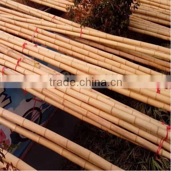 Bamboo Product of Construction Material