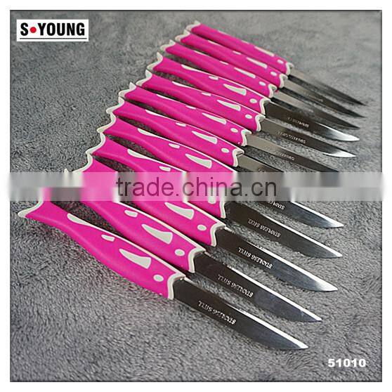 51010 12PCS STAINLESS STEEL fruit Knife Set