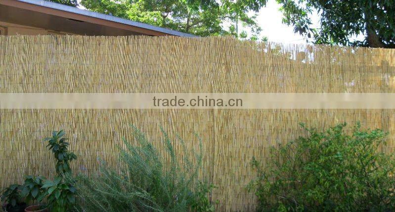reed matting reed mat