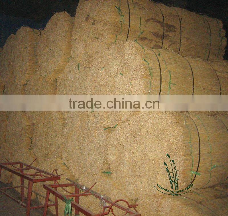 water reed roof for thatch