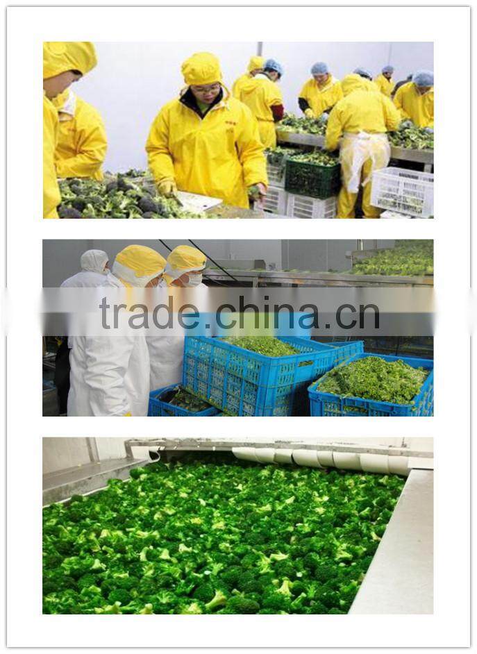 Agriculture organic frozen product, IQF, frozen vegetables & frozen broccoli