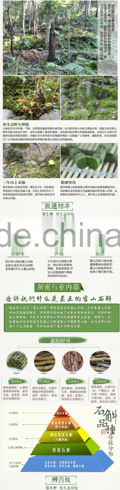 High Quality Dendrobium chrysanthum