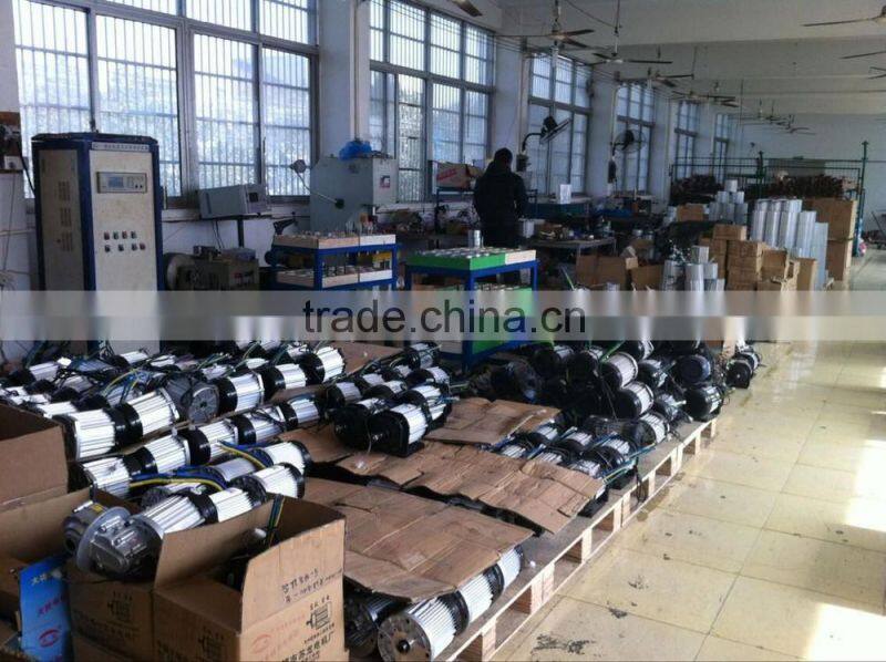 BLDC motor made in China