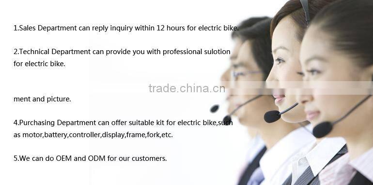 good quality electric mountain bike for sports