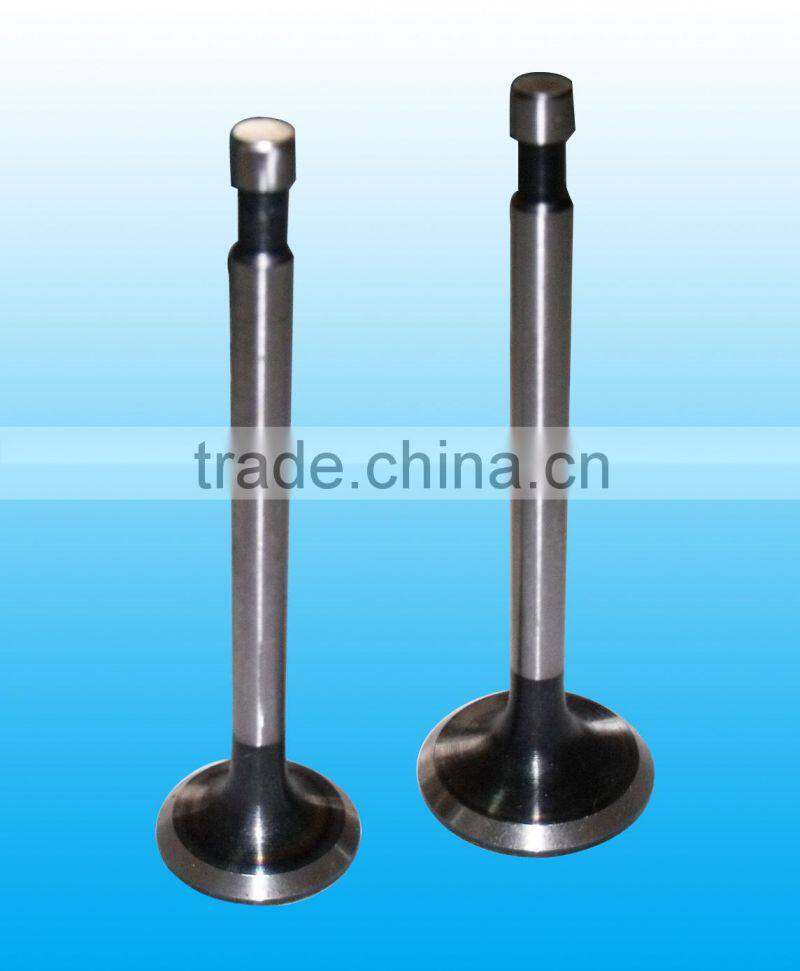 single cylinder diesel engine valve