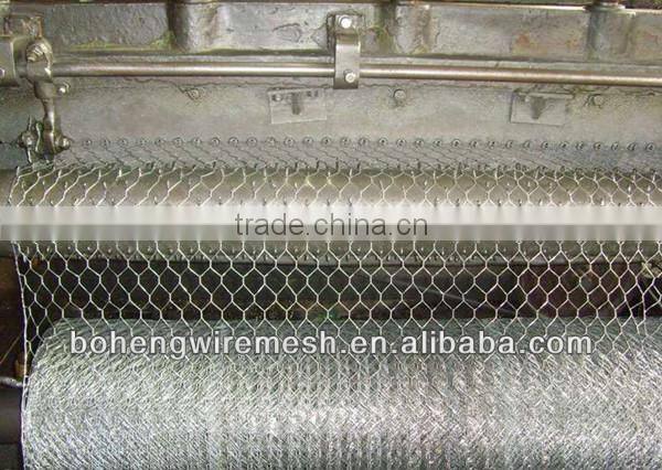 Hot sale hexagonal wire mesh for poultry fence