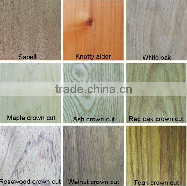 Exterior Solid Wood with Double Pane Tempered Glass Entrance Door Type French Door