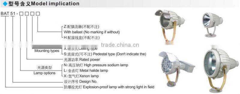 explosion proof flameproof light fitting floodlight