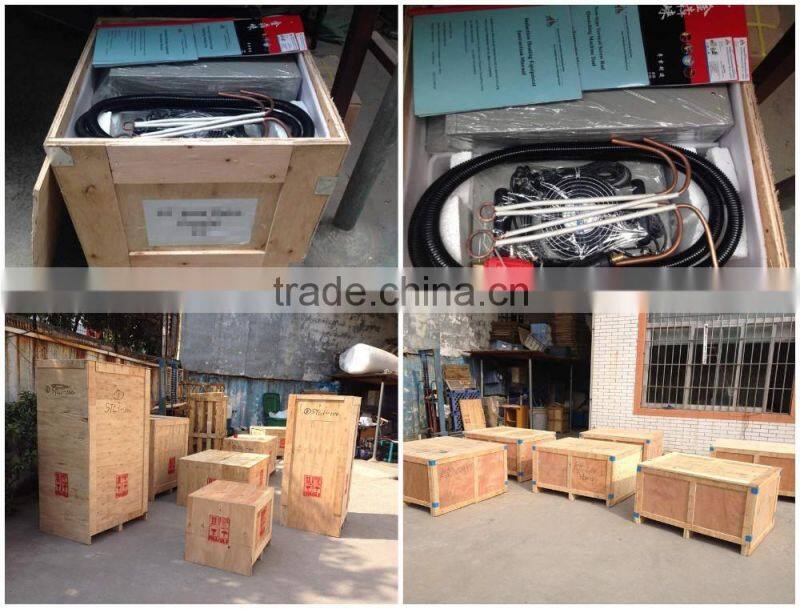 Environmental Industrial Used IGBT Induction Annealing and Quenching Heating Equipment (JLCG-20)