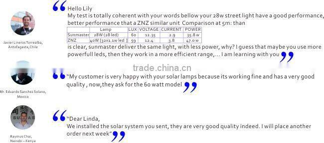 12V/24V Intelligent solar street light with pole