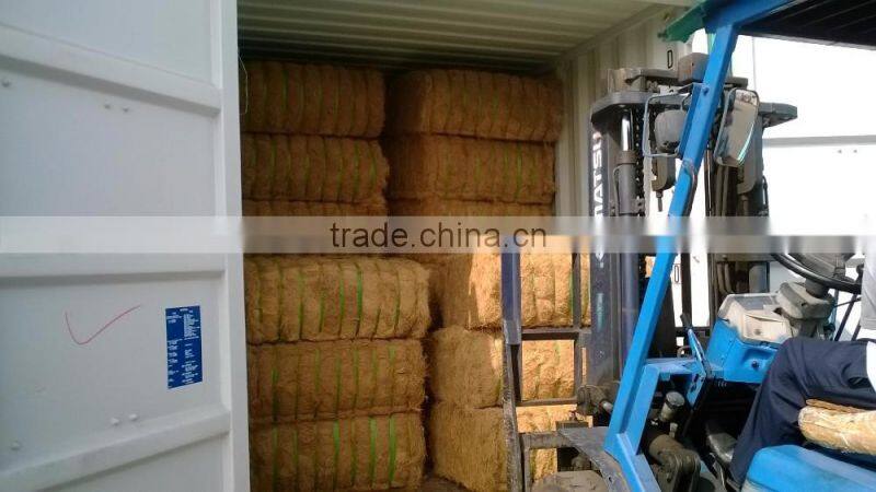 Coconut Fiber 2016 in Vietnam (qq : 2598494113)