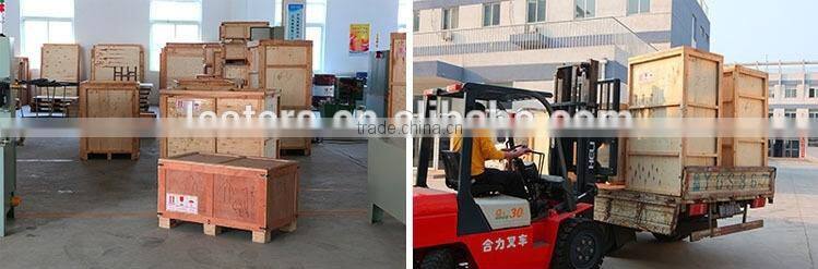 Promotion in August Table Top Italian Gelato Taylor Hard Ice Cream Machine