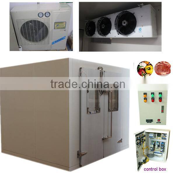 polyurethane insulation door with double handle for cold storage room