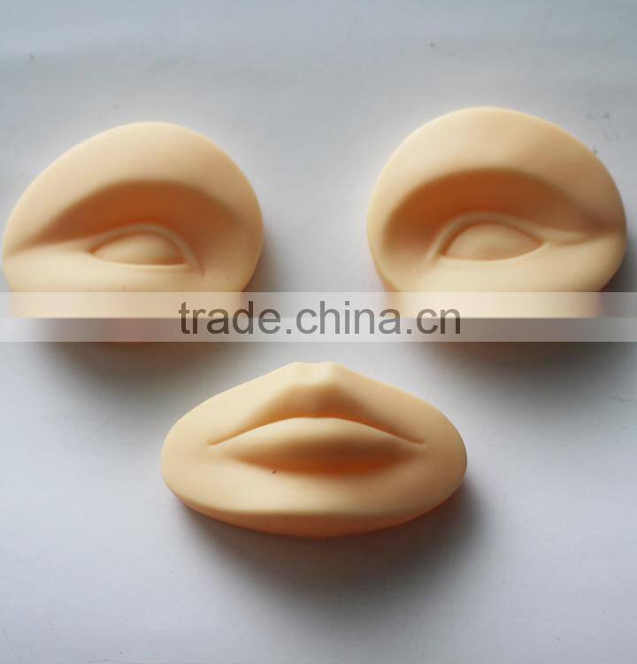 Eyebrow and Lips Inserted For Permanent Makeup School Training PMU Beginner