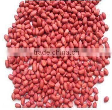 Shandong organic roasted and blanched peanut