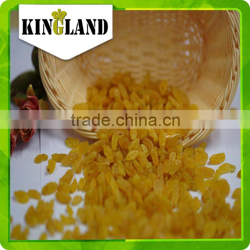 2015 crop golden raisin for Asia market