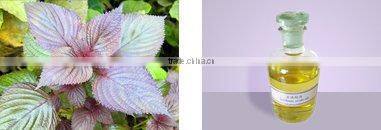 edible oil linolenic acid oil