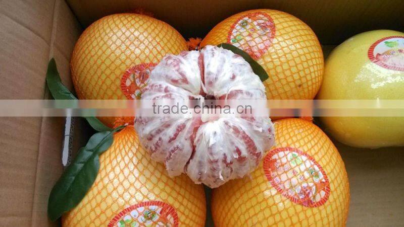 Delicious fruit pomelo