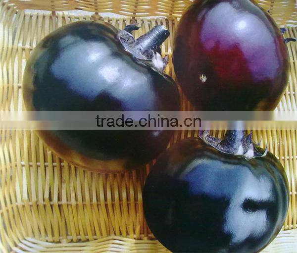 E08 Shengyuan No.2 f1 hybrid black eggplant seeds, 700 to 850grams in weight, round shape