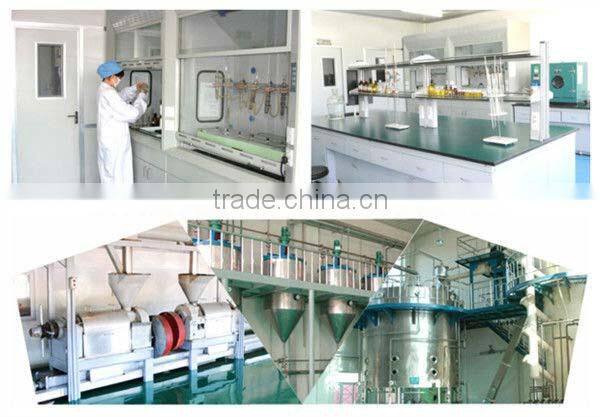 Essential Evening Primrose Oil