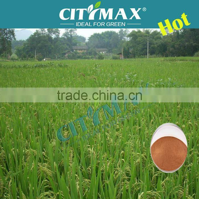 Fulvic Acid 95% Fertilizer Wholesalers