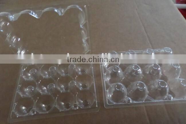 12 eggs plastic box