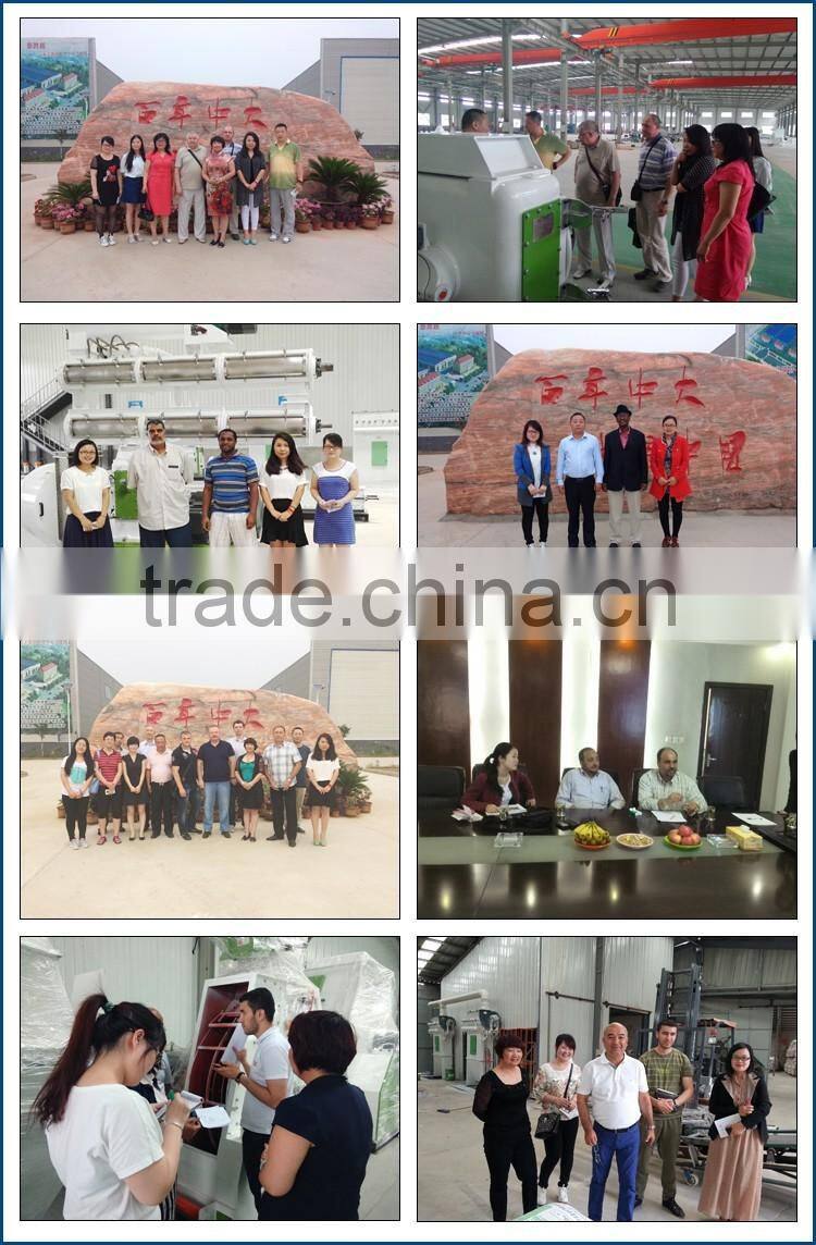 CE Approval High Quality Pellet Machine Production Line /Cattle Feed Pellet Processing Line/Feed Pellet Equipment