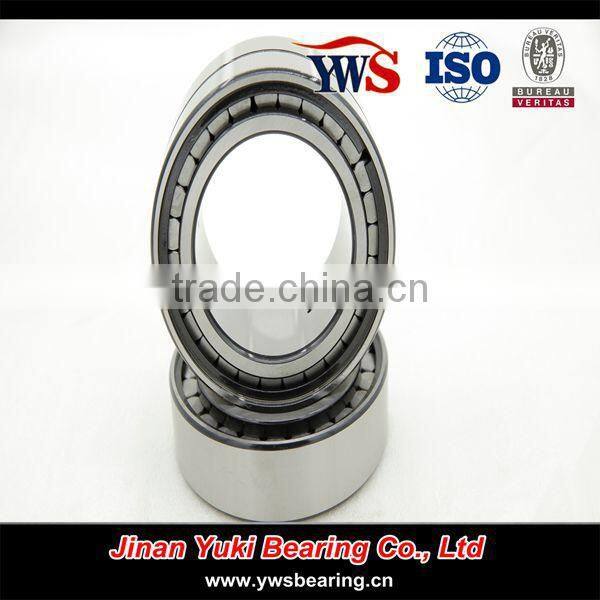 double row Full complement cylindrical roller bearing SL 185013