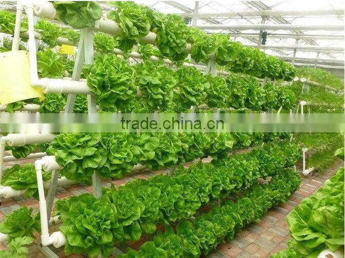 Professional Greenhouse Project commercial hydroponic systems
