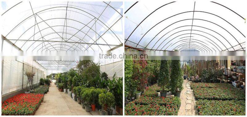 Double Inflated Film Commercial Prefabricated Greenhouse