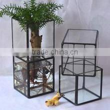 Home DIY decor micro landscape clear terrarium geometric glass greenhouse