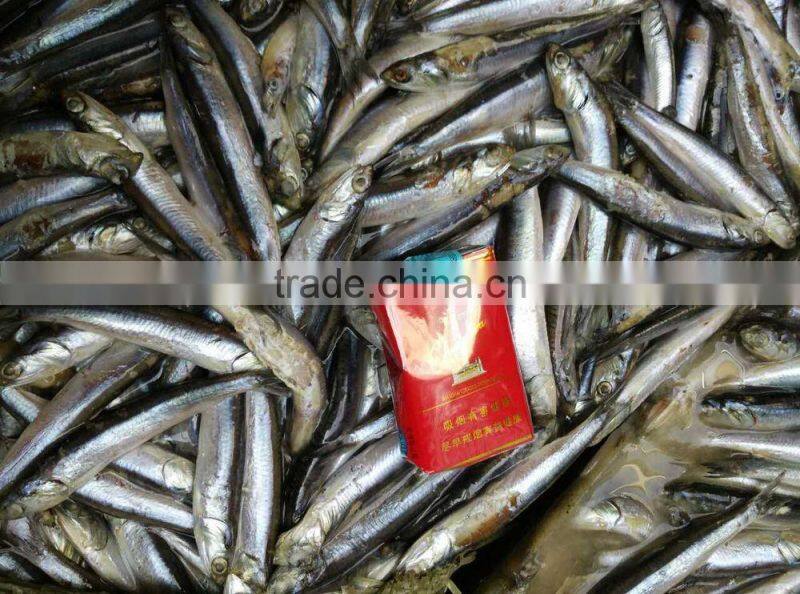 hot sales Land frozen anchovy