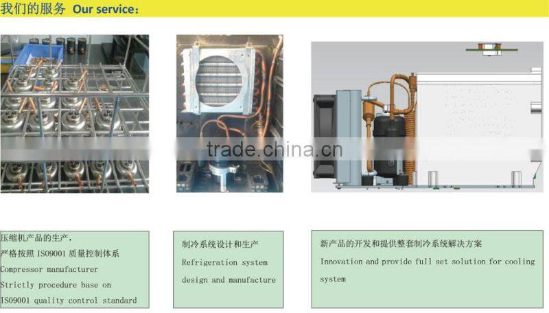 super mini-sized conpressor for refrigeration parts original from military use