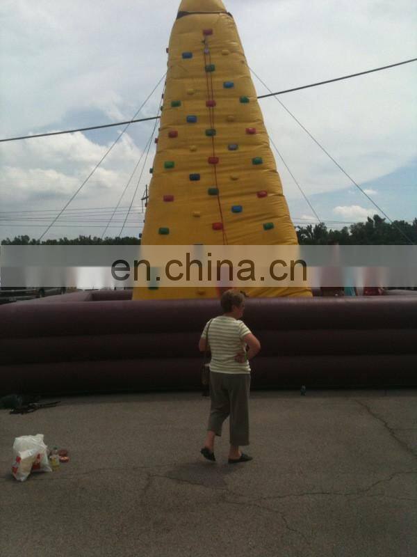 Cheap Giant Inflatable Climbing/inflatable water rock climb