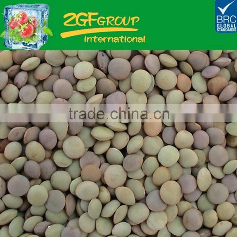 Hot Sale fresh and healthy kidney beans ( small pure kidney bean)