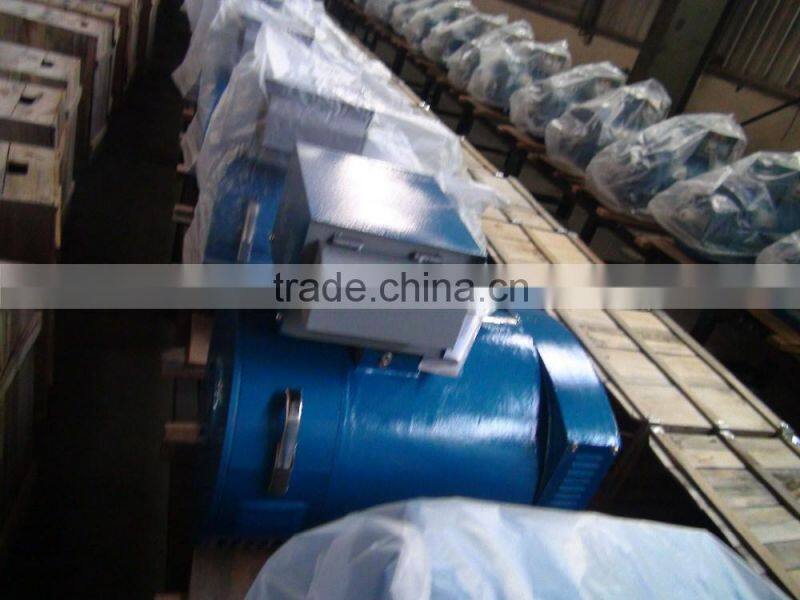 brush alternator for egypt market