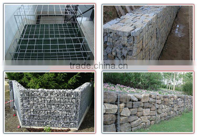 Anping 50*100mm welded gabion wire mesh