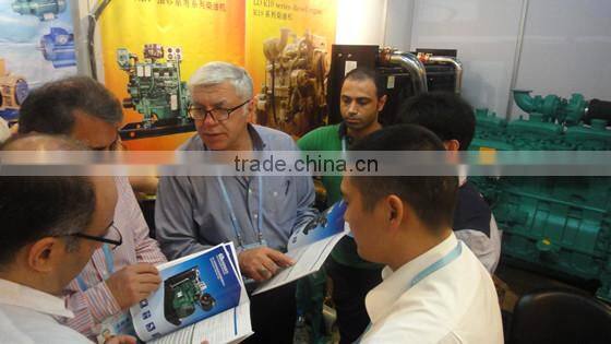 LD Brand New CE Approved Diesel Generator100kw