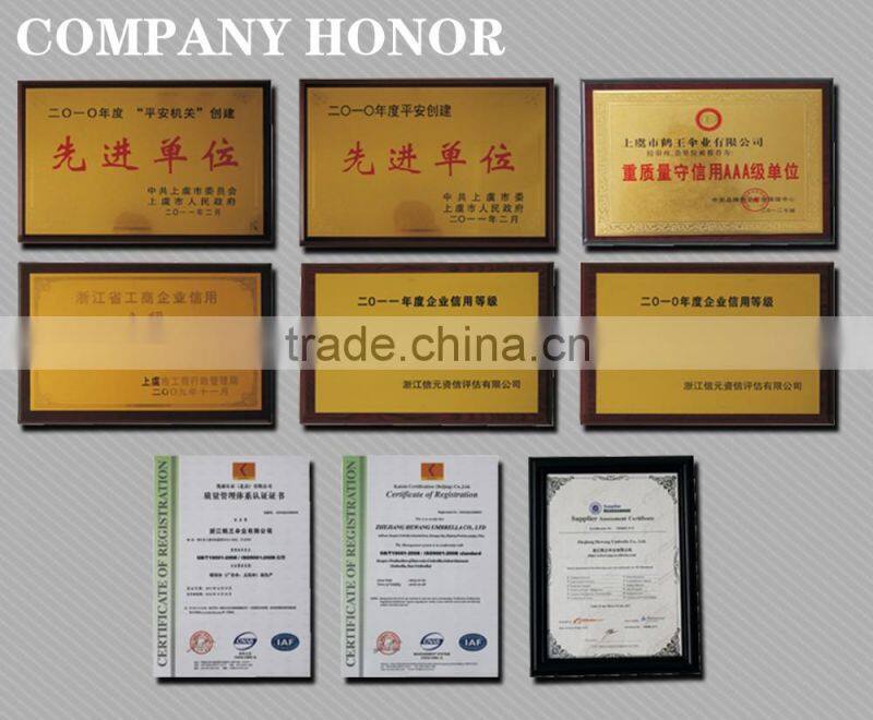 6X3M strong folding Gazebo with side walls customized canopy