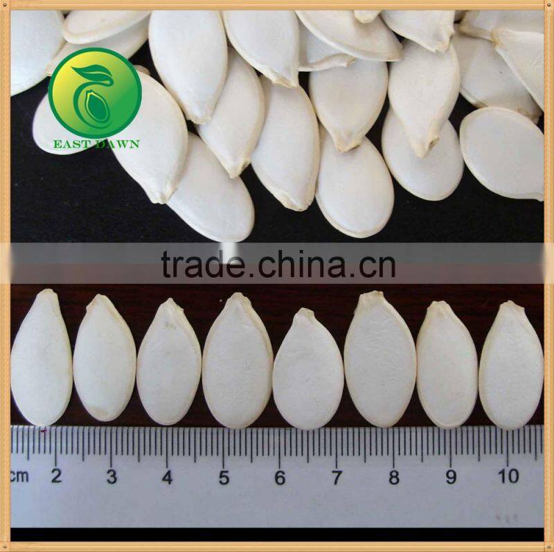 Snow White Pumpkin Seeds New Products On China Market Price